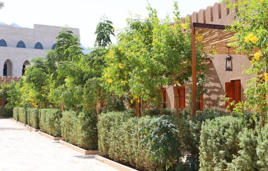 Deluxe Double or Twin Room with Garden View